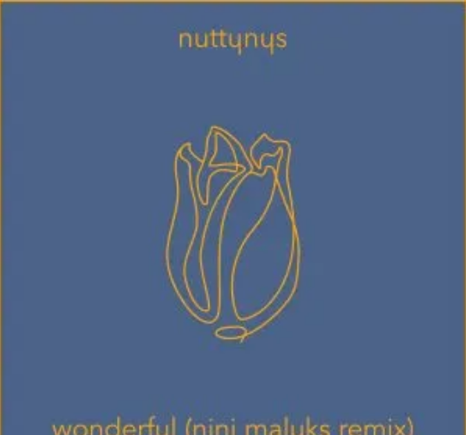 Nutty Nys – Wonderful (Nini Maluks Remix) Mp3 Download