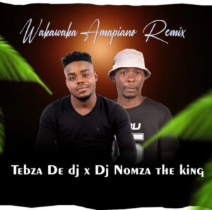 Tebza De DJ – WakaWaka Amapiano Remix Ft. DJ Nomza The King Mp3 Download