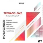 Buddynice, Surprise M – Teenage Love (TorQue MuziQ Afro Tech Mix)
