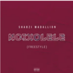 Busta 929 – Ngixolele ft. Boohle (ShabZi Madallion Remix)
