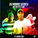 Dj Mimmz Africa – Good Vibes Ft. Mara Luh
