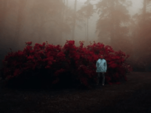 Lungelo Manzi – Love & Melanin