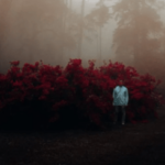 Lungelo Manzi – Rotation