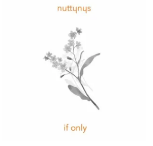 Nutty Nys – If Only ft. Simbad Mp3 Download