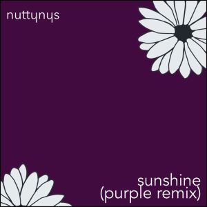 Nutty Nys – Sunshine (Purple Remix) Mp3 Download
