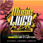 BeeKay (Mr C-lector) – MusiQ lives in Me vol.001 Mix