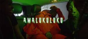 Dladla Mshunqisi – Amalukuluku Ft. Professor
