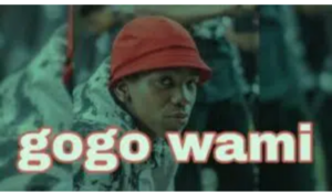 Mfana Ka Gogo – Gogo Wami ft Daliwonga, Shasha & The Bomb RSA (amapiano type beat)