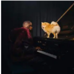 Musa Keys & Major Keys – Inkunzi Ft. Xduppy, Lwamii