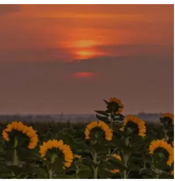 Kid Kerfy – Asylum (Mellow & Sleazy Type Beat) Mp3 Download