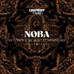 DJ Tomer & Ricardo – Noba Ft. NaakMusiQ Mp3 Download