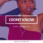 Mbuso De Mbazo – I Don’t Know ft. Bemvelo