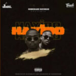 Paxxe Vandal – Hayibo Ft. Touchline