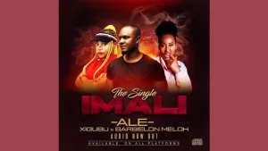 ALE – Imali Ft. Meloh Barbielon & Xigubu Mp3 Download
