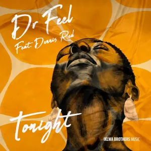 Dr Feel & Dennis Red – Tonight (Original Mix) Mp3 Download