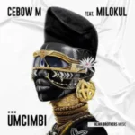 Cebow M – Umcimbi ft. Milokul