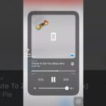 Chilli Pie – Tribute To Zan