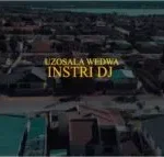 Instri Dj – Uzosala Wedwa Ft. DJ Dokotela Dr & Nymzar