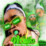 Leezy Lindokuhle – Mnike ft Phantom Steeze & Ipstar