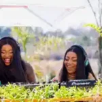 Tango Supreme – Groove Cartel Amapiano Mix