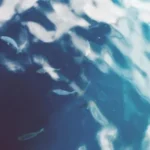 Yolophonik – Release ft Annita