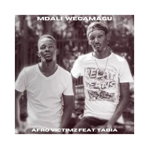 Afro Victimz & Tabia – Mdali WeCamagu (Original Mix) Mp3 Download