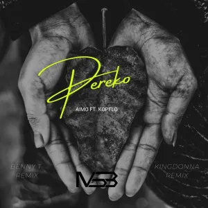 Aimo, Kopelo – Pereko (KingDonna Remix) Mp3 Download