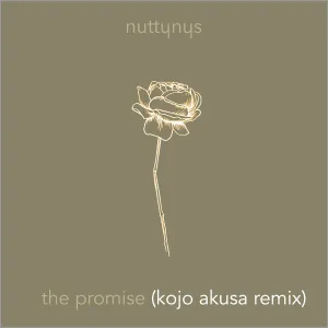 Nutty Nys – The Promise (Kojo Akusa Remix) Mp3 Download