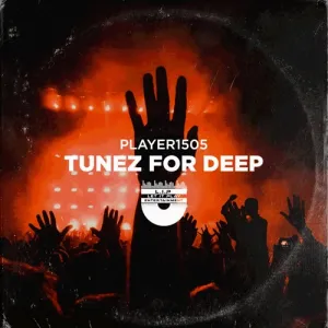 Player1505 – Tunez For Deep Mp3 Download