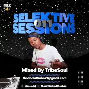 TribeSoul – Selektive Sessions 011 Mix Mp3 Download