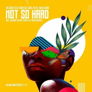 Vesant Q & Thab De Soul – Not So Hard ft. Neo Dube Mp3 Download