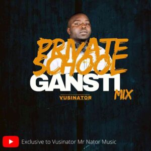 Vusinator – Private School Gantsi Mix Mp3 Download