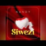 Nandy – Mchumba