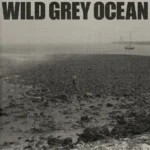 Sam Fender – Wild Grey Ocean