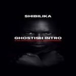 Shibilika & Imnotsteelo – Dontsa Ft. Boontle RSA, Khvyv, Jay Music & Triple X Da Ghost