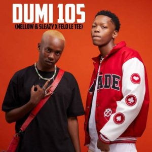 Mellow & Sleazy x Felo Le Tee – Dumi 105 Mp3 Download