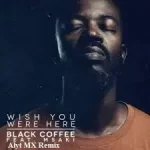 Black Coffee – Wish You Were Here Ft. Msaki (Alyt MX Remix)