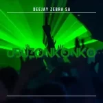 Deejay Zebra SA & Pro Tee – Phusha
