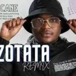 Shuga Cane – Zotata Remix