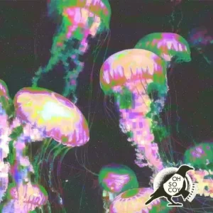 B&S Concept – I’m Feelin (Tahir Jones Remix) Mp3 Download