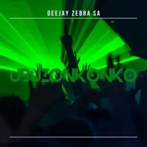 Deejay Zebra SA – South African Story Mp3 Download