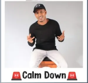 DJ Ace – Calm Down Mp3 Download