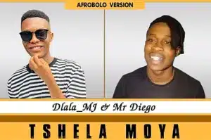 Dlala MJ – Tshela Moya Ft Mr Diego Mp3 Download