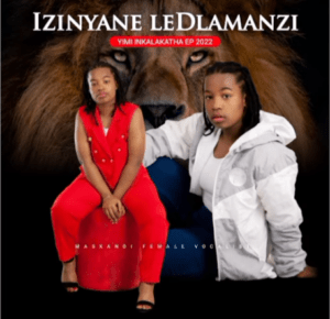 Izinyane le Dlamanzi – Isandla Somndeni Mp3 Download