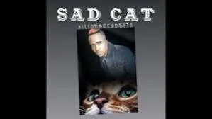 Killorbeezbeatz – Sad Cat Mp3 Download