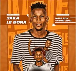 Naleboy Young King – Saka Le Bona Ft Chechi The DJ Mp3 Download