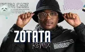 Shuga Cane – Zotata Remix Mp3 Download