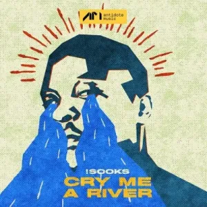 !Sooks – Cry Me A River Mp3 Download