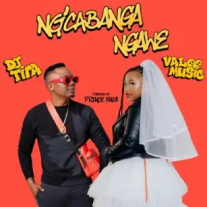 Valee Music & DJ Tira – Ng’cabanga Ngawe Mp3 Download