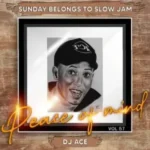 DJ Ace – Peace of Mind Vol 57 (Sunday Belongs To Slow Jam)